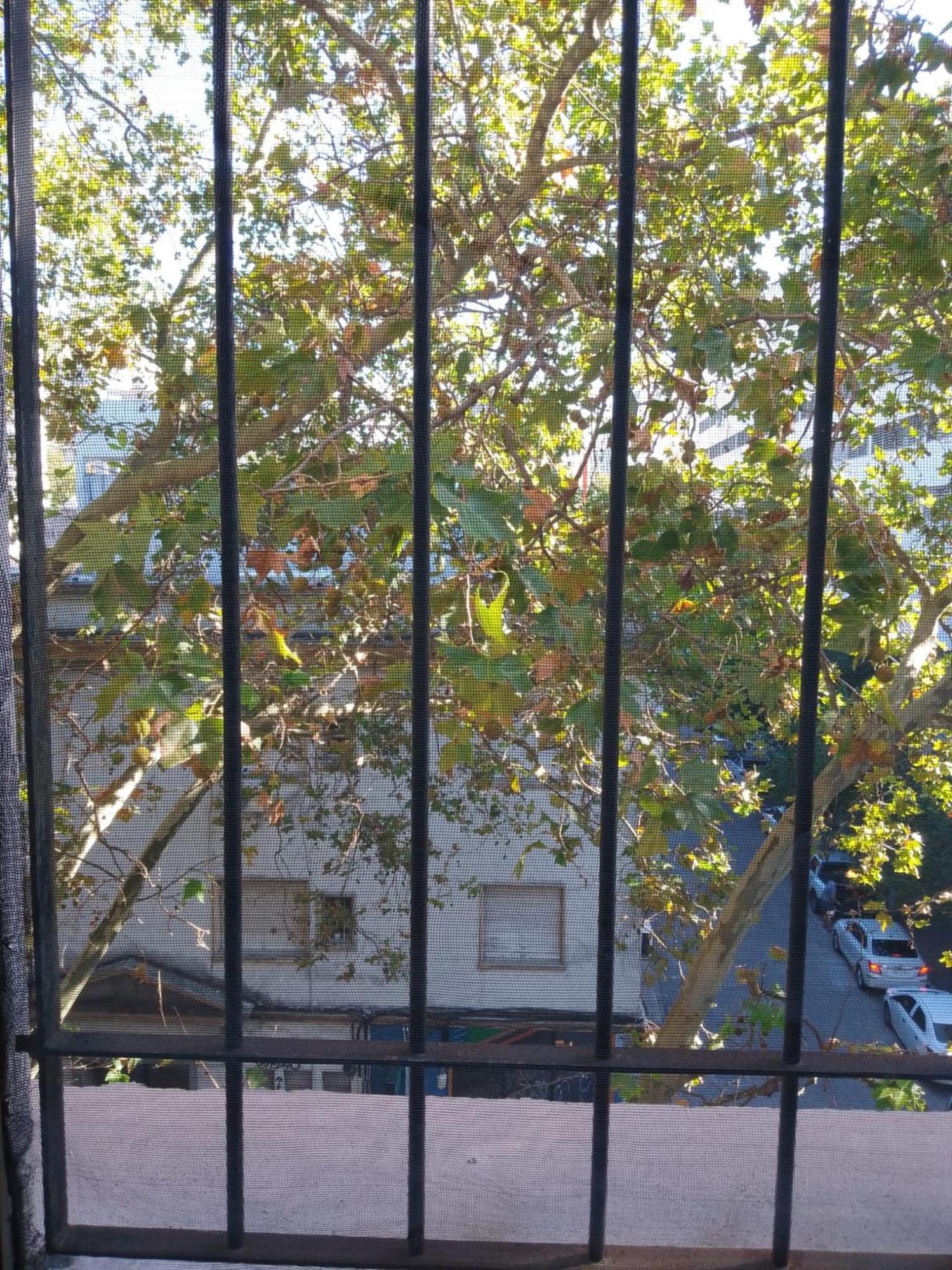 Montevideo Hostel Exterior foto